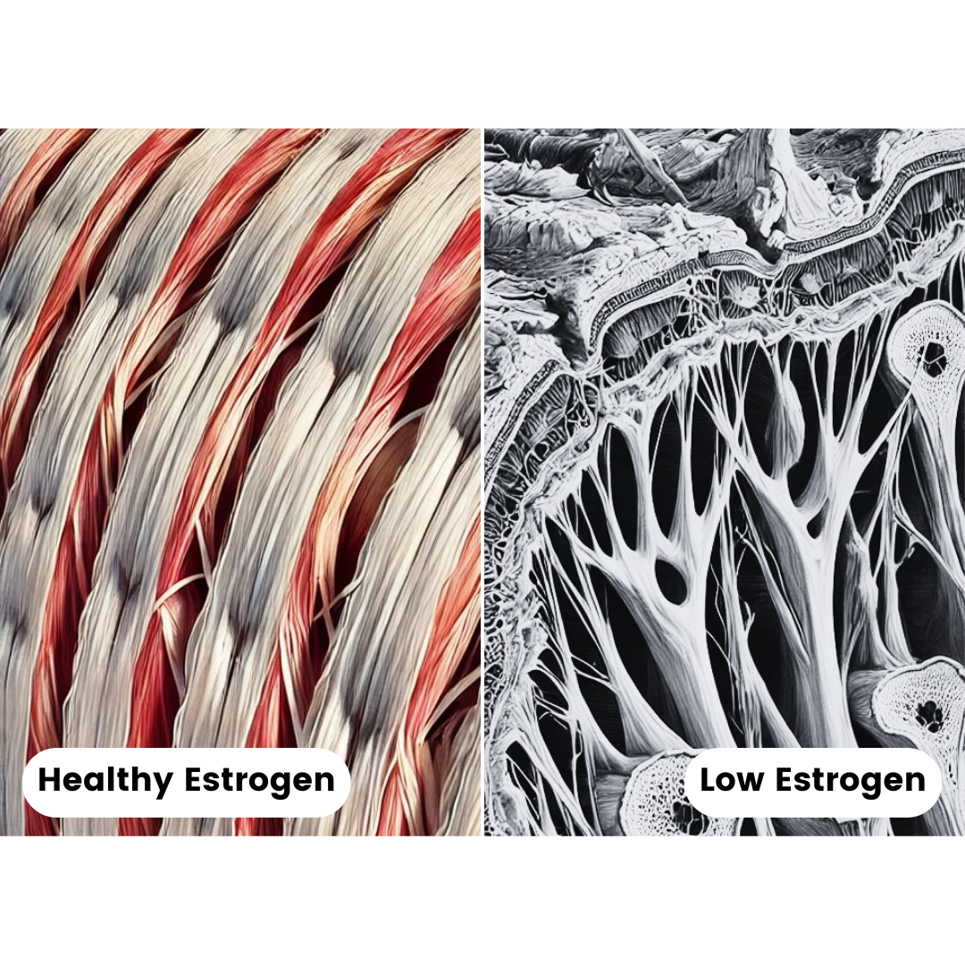 EmpowerPro Menopause Support™