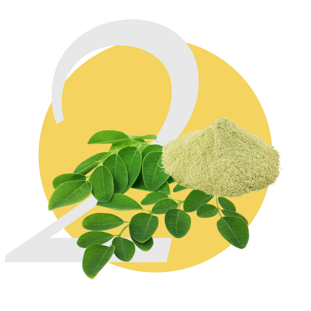 EmpowerPro Menopause Support™